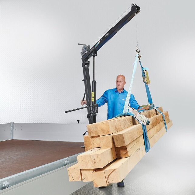 Davit swivel crane  360° 800KG