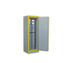 Gas Cylinder Safety Cabinet – 30 Min Fire Resistance, 1 Door, 2 B50 Bottles