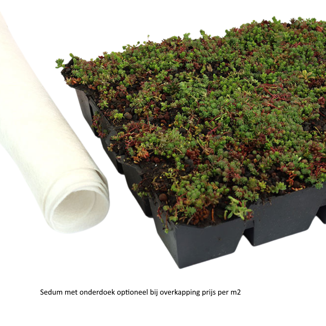 Douglas overkapping aan huis 300 x 400 x 250 cm