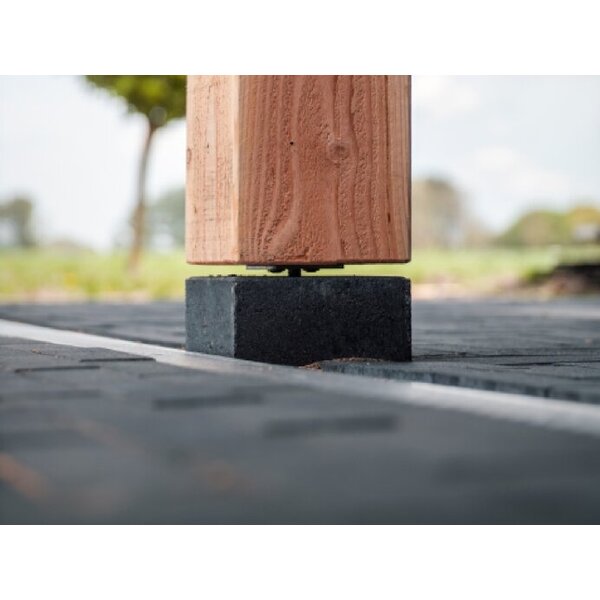 Overkapping met glasdak 250x550 cm