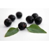 Dr. Bassleer Biofish Food Acai