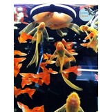 Ziss Aqua SF-1 Sieve - Artemia voerzeef