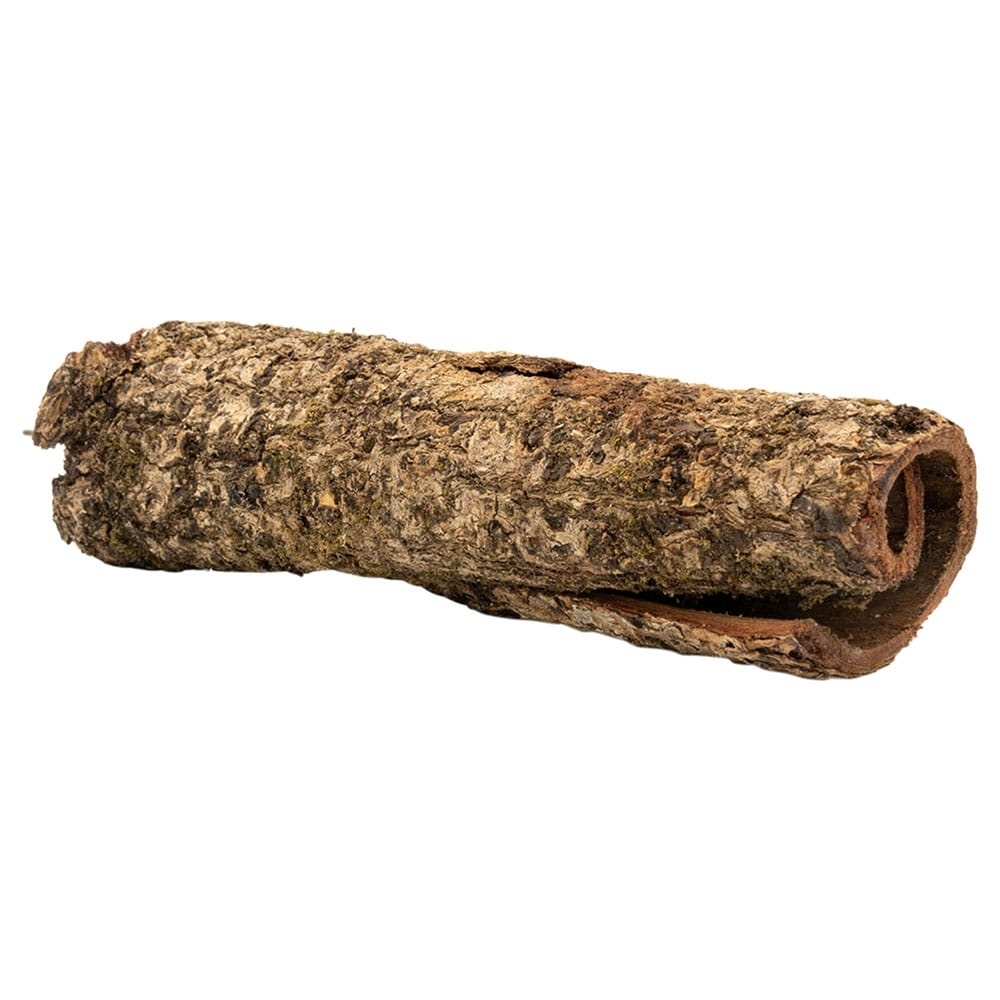 Catappa schors rol - Catappa log