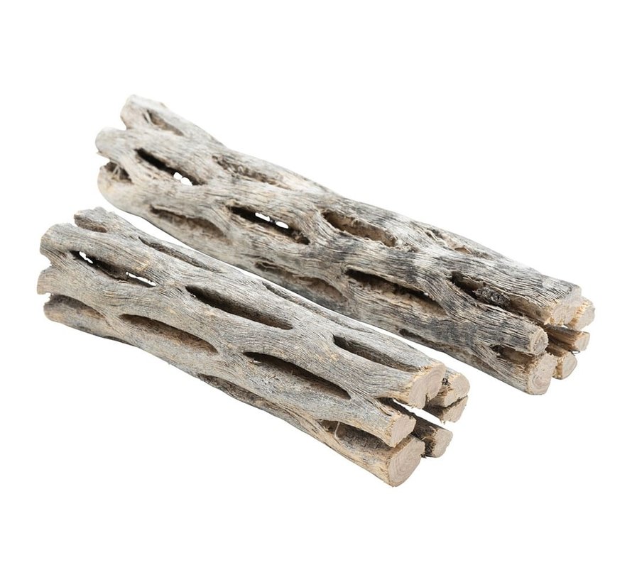 Cholla wood (10cm of 15cm)