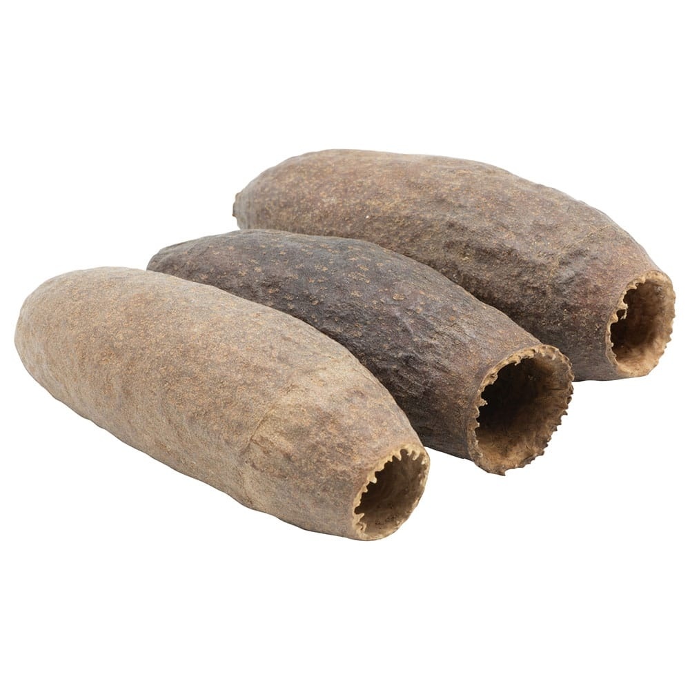 Savu pod - Jequitiba