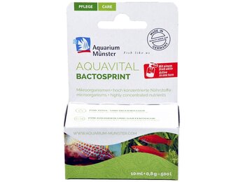 Aquarium Münster Aquavital Bactosprint