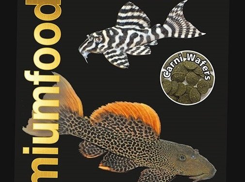 Discusfood Discusfood Pleco & Catfish Carni Wafers (50 of 150 gram)