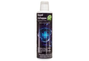 Discusfood Royal Catappa