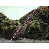 GlasGarten Shrimp Lollies - Walnoot Sticks 8 stuks