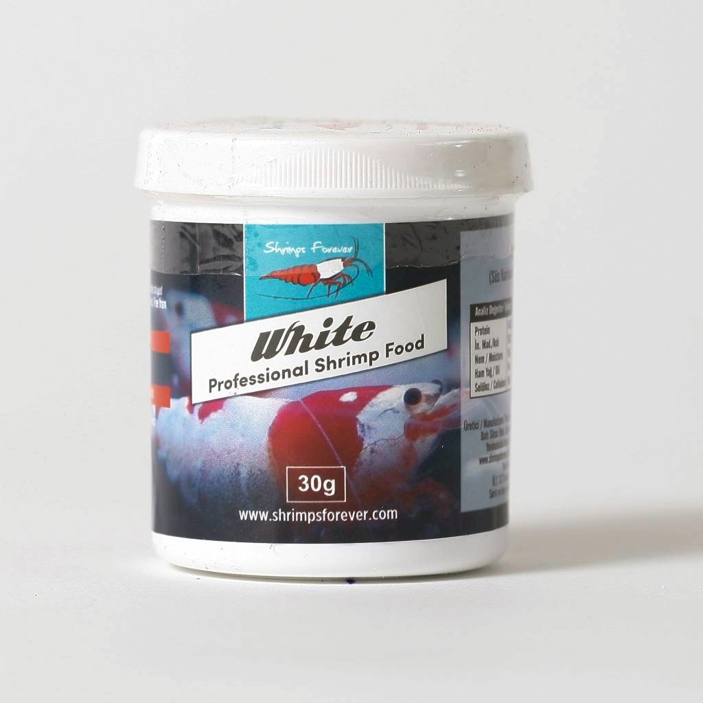Shrimps Forever white