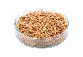 Gedroogde vlokreeftjes (Gammarus)