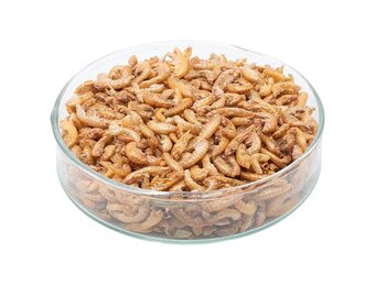 Gedroogde vlokreeftjes (Gammarus)
