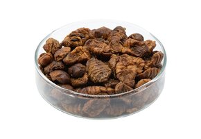 Gedroogde zijderupsen