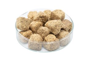 Gevriesdroogde artemia