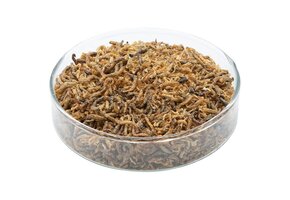 Gevriesdroogde rode muggenlarven