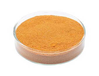 Ontkapselde artemia eieren