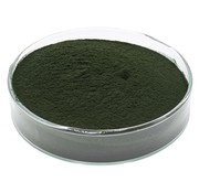 de Visvoer WebWinkel Spirulina poeder