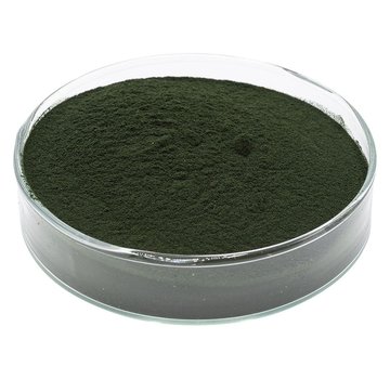 de Visvoer WebWinkel Spirulina poeder