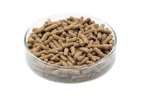 Schildpadden sticks bruin