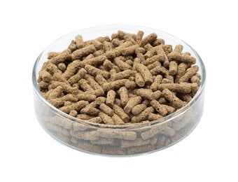 Schildpadden sticks bruin