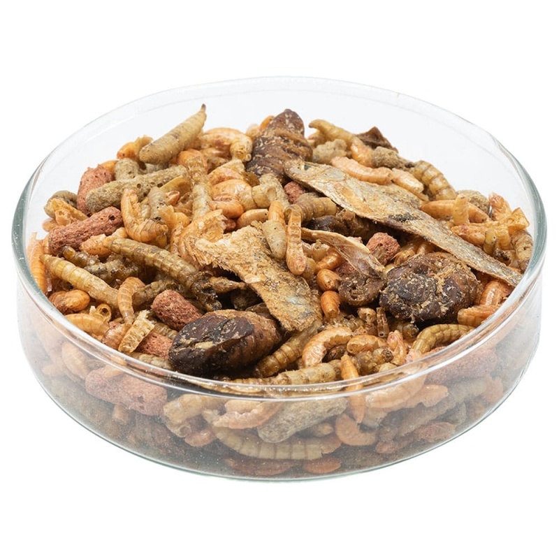 Schildpadden mix