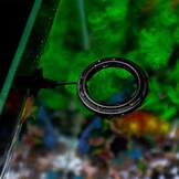 Aqua Nova drijvende voederring rond