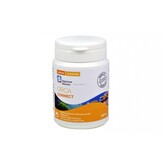 Aquarium Münster Orca Connect