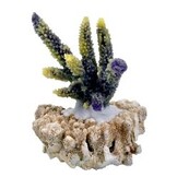 Aquarium Münster Orca Connect