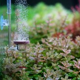 Twinstar acryl CO2 diffusor