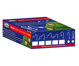 Afrikaanse lelie: verzorging en tips voor een bloeiende tuin