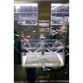 Ziss Aqua GL-1 Breedingbox kweekbakje
