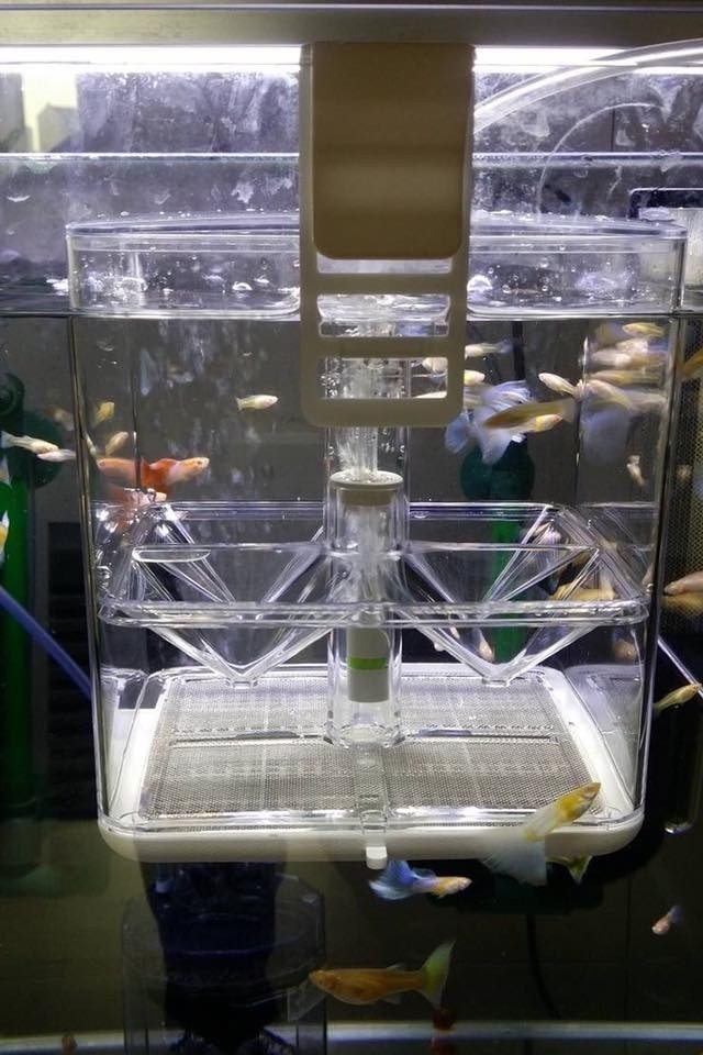 Ziss Aqua GL-1 Breedingbox kweekbakje