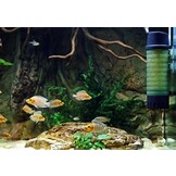 Ziss Aqua ZB-300 Bubble Bio filter, bewegend bed filter