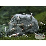 Mironekuton mineraalstenen