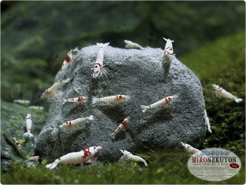 Mironekuton mineraalstenen