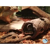 Boomstam Log aquarium schuilhol