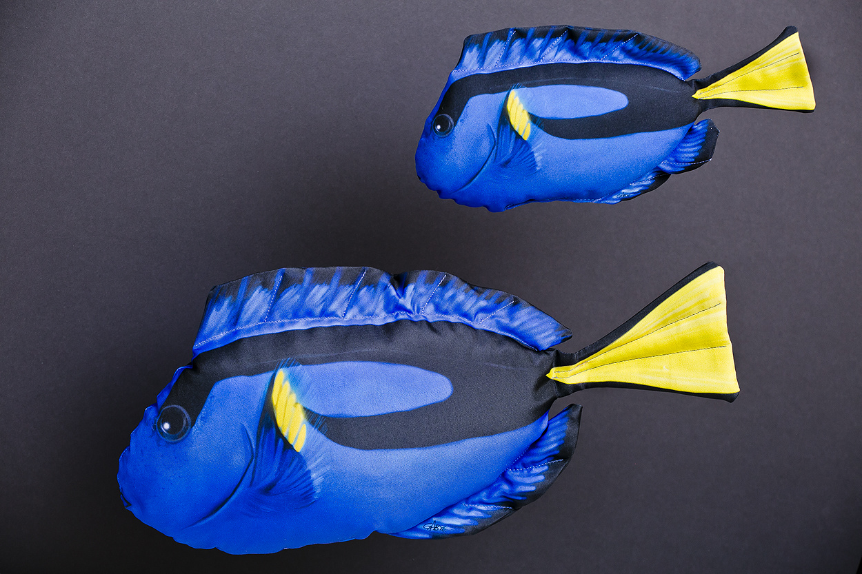 GABY Picasso doktersvis (Dory) knuffel/ kussen