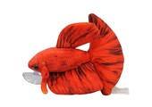 GreenPleco knuffel - Betta rood