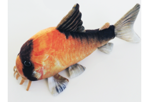 GreenPleco knuffel - Corydoras Metae