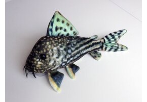 GreenPleco knuffel - Corydoras Sterbai