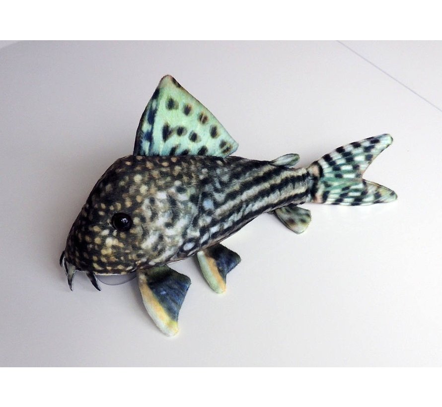 GreenPleco knuffel - Corydoras Sterbai