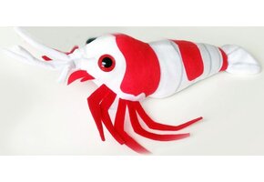 GreenPleco knuffel - Crystal red shrimp