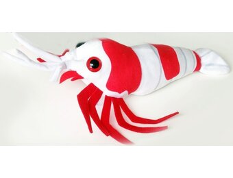 GreenPleco knuffel - Crystal red shrimp