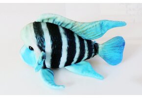 GreenPleco knuffel - Frontosa Cichlid