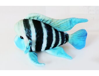 GreenPleco knuffel - Frontosa Cichlid