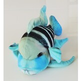 GreenPleco knuffel - Frontosa Cichlid