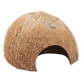 Halve kokosnoot schaal