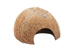 Halve kokosnoot schaal