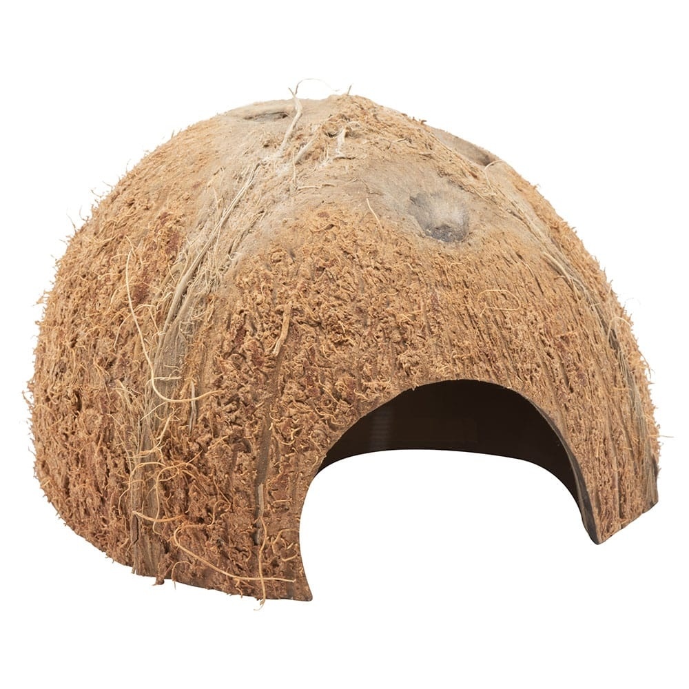 Halve kokosnoot schaal