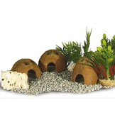 Halve kokosnoot schaal